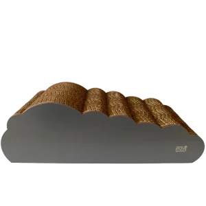 RASCADOR NUBE
