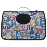BOLSO TRANSPORTADOR