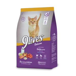9 LIVES GATITOS
