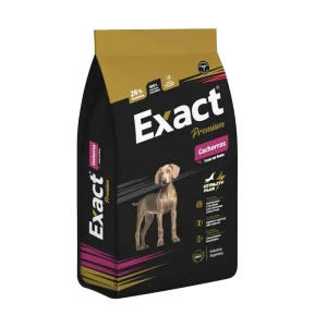 PREMIUM EXACT CACHORRO