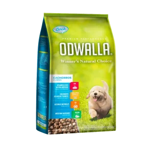 ODWALLA CACHORRO
