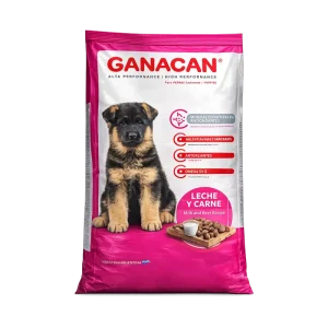 GANACAN CACHORRO